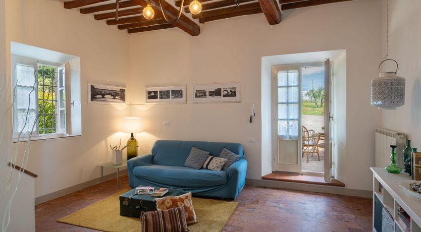 Photo of Ancient Grove