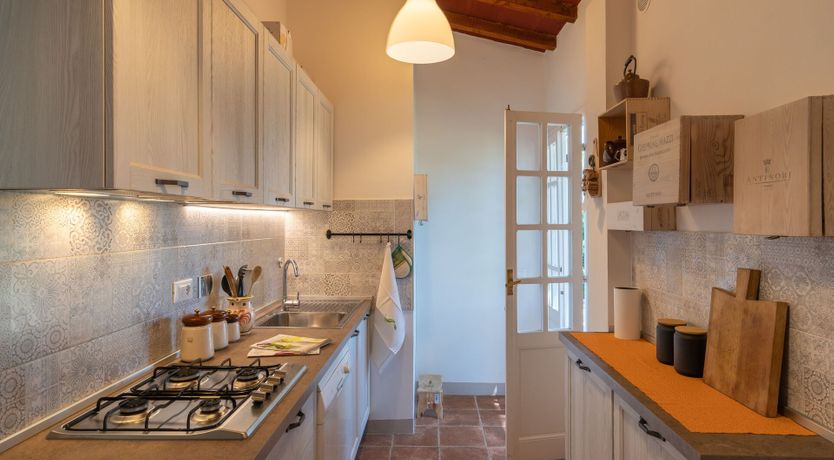 Photo of Ancient Grove