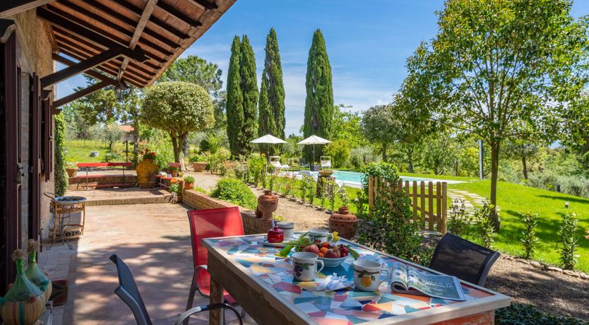 Photo of Ancient Grove