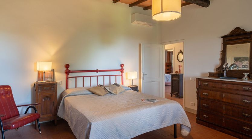 Photo of Ancient Grove