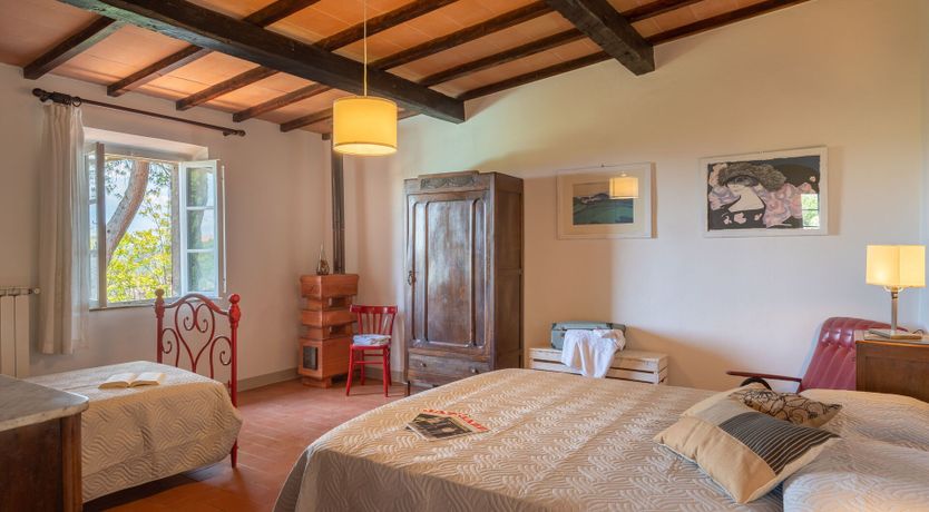 Photo of Ancient Grove