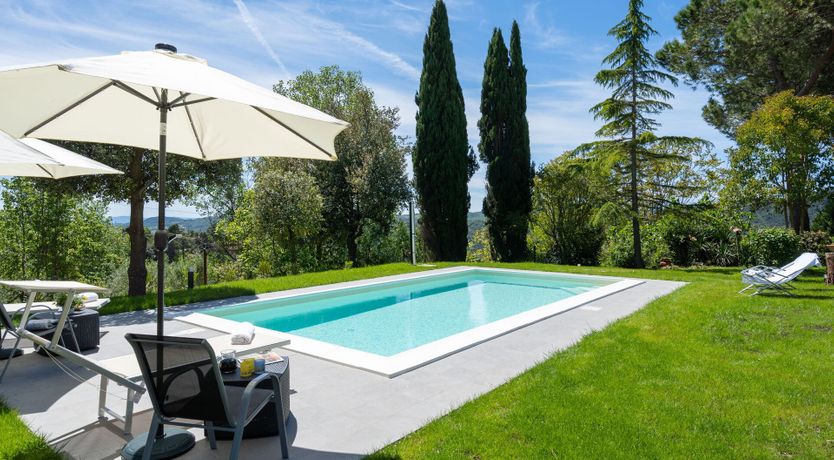 Photo of Ancient Grove