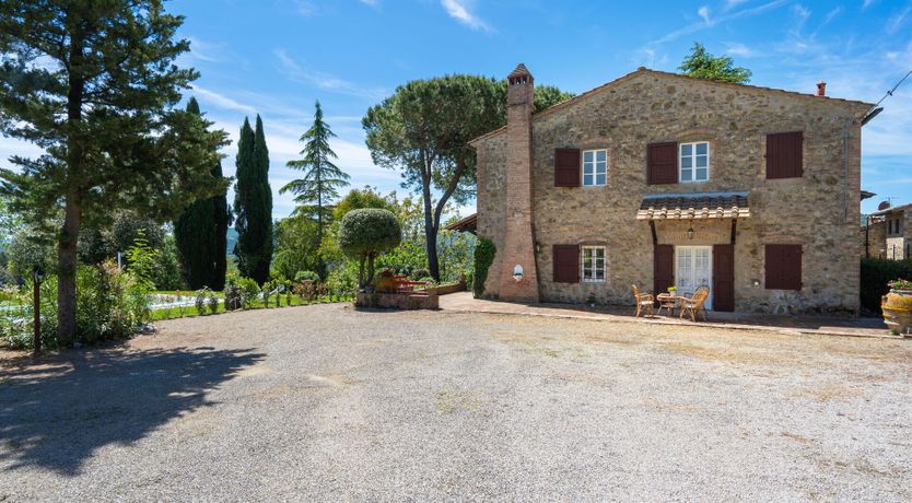 Photo of Ancient Grove