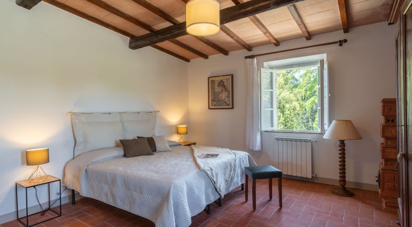 Photo of Ancient Grove