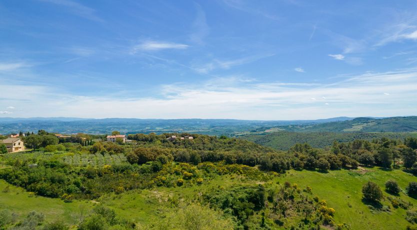 Photo of Ancient Grove