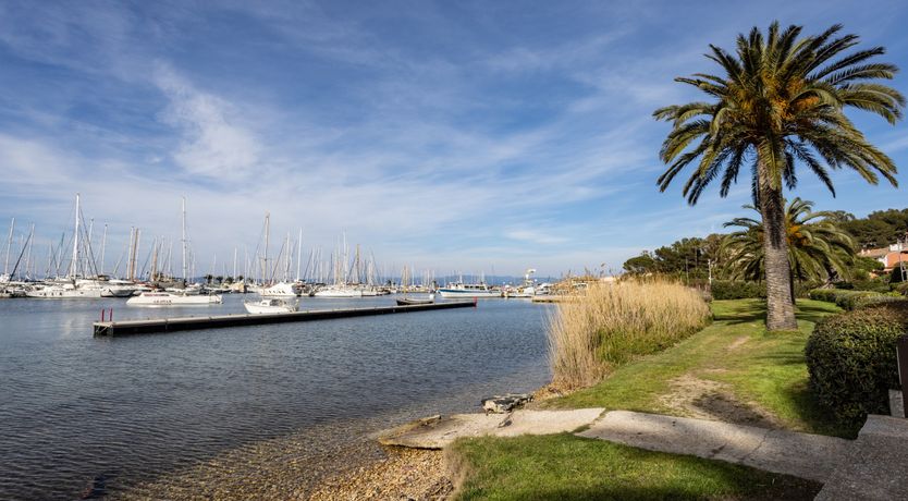 Photo of Coastal Sunshine