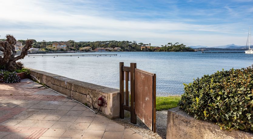 Photo of Coastal Sunshine