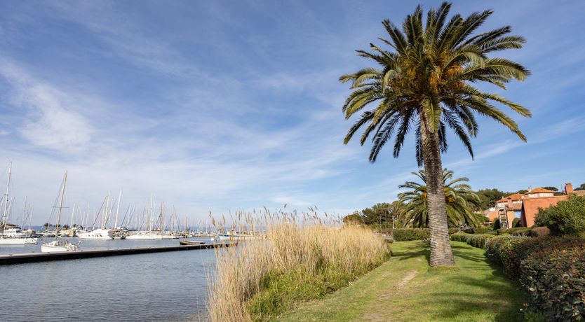 Photo of Coastal Sunshine