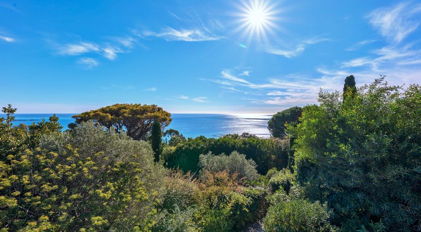 Photo of A Riviera Vista