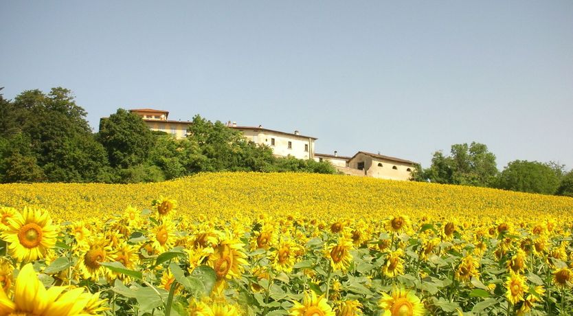 Photo of Mugello Views