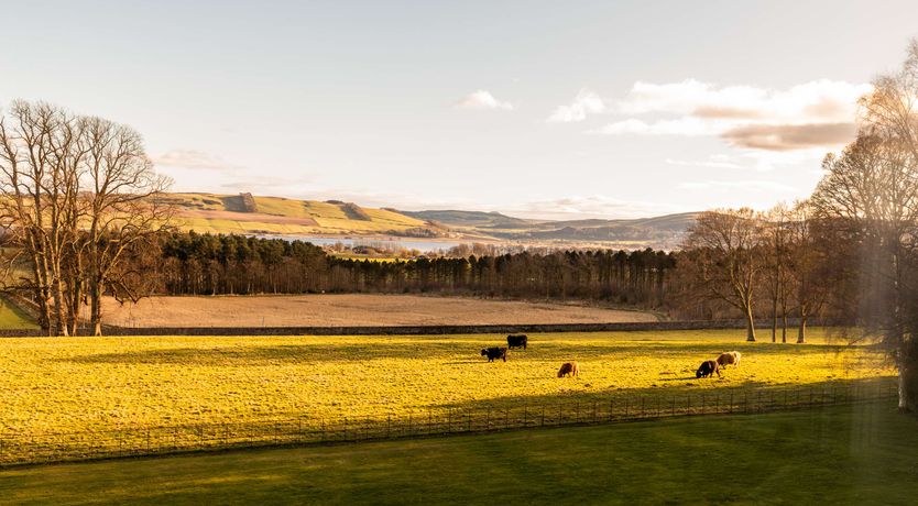 Photo of Highland Echo