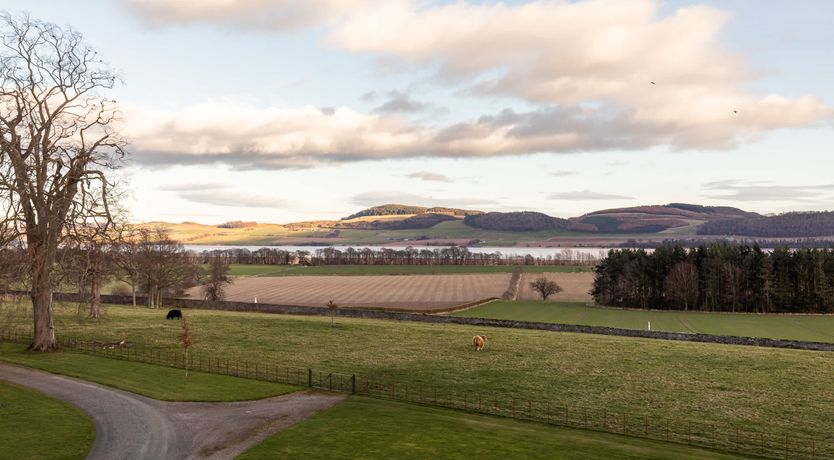 Photo of Highland Echo