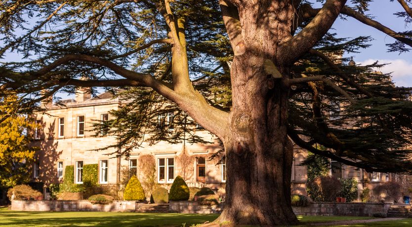 Photo of Highland Echo