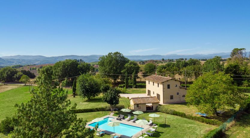 Photo of Hidden Muse