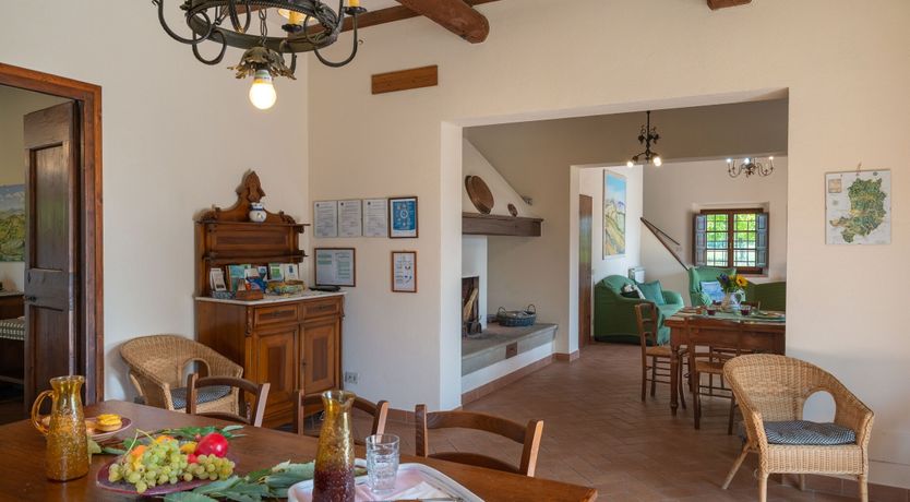 Photo of Hidden Muse