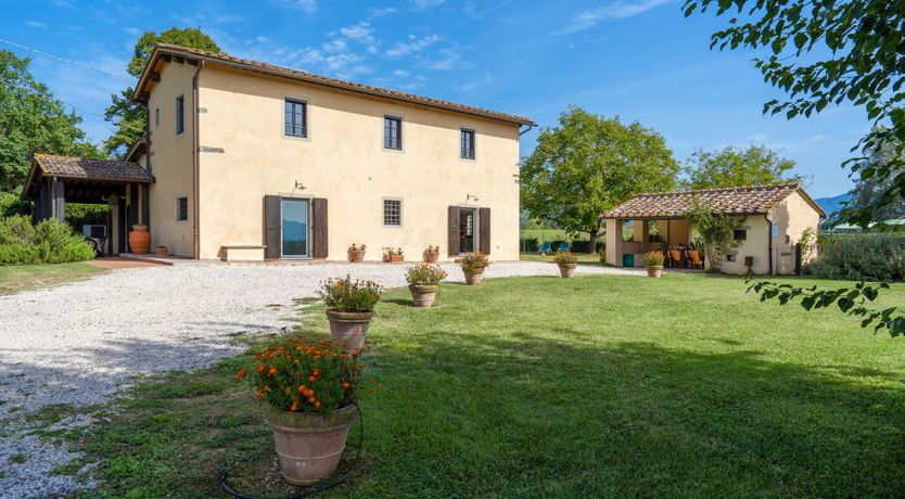 Photo of Hidden Muse