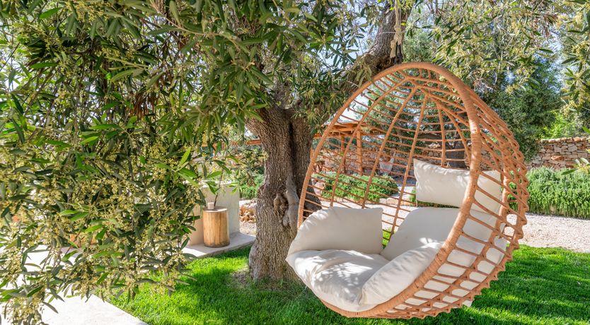 Photo of The Sunshine Palace