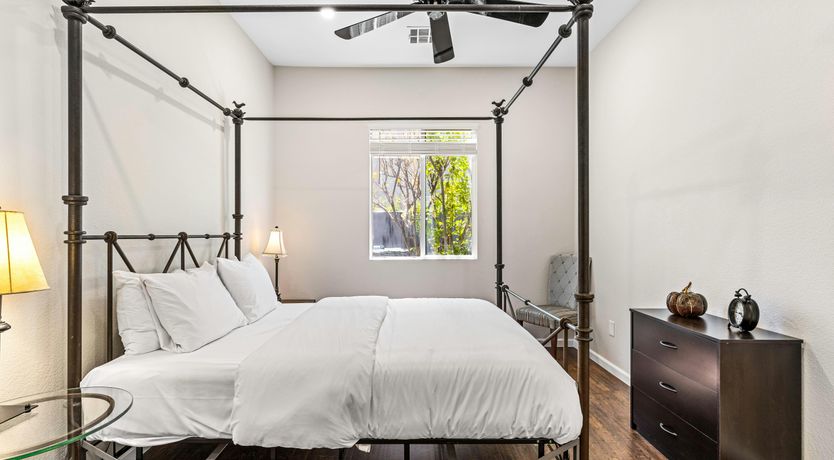 Photo of Palm Sunset