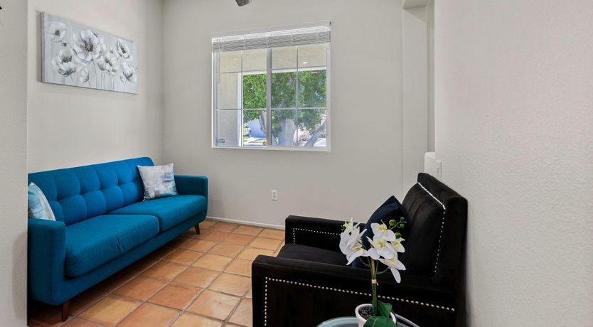 Photo of Palm Sunset