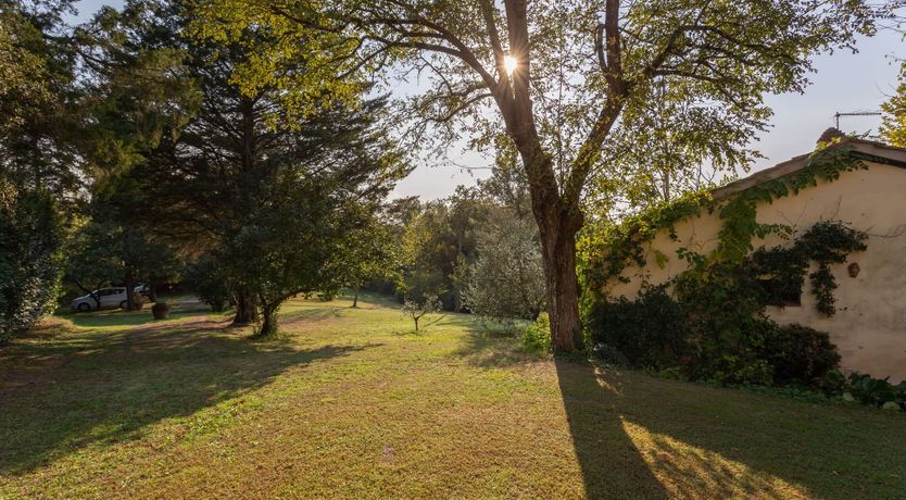 Photo of The Antique Dwelling