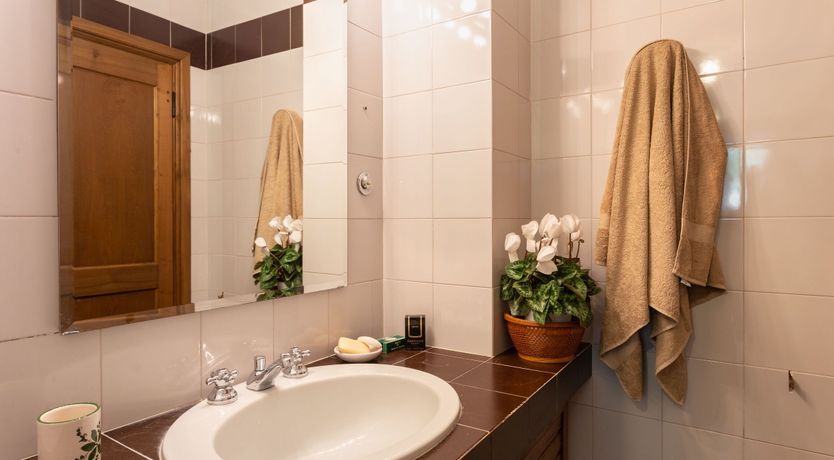 Photo of The Antique Dwelling