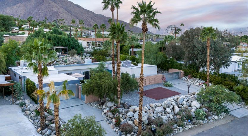 Photo of The Desert Pine