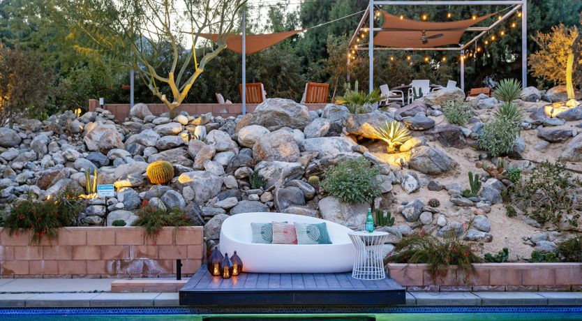 Photo of The Desert Pine