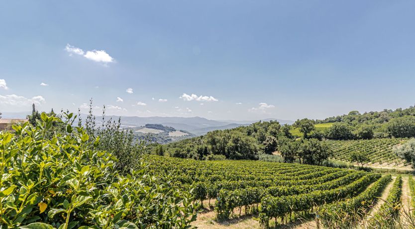 Photo of Refined Tuscany