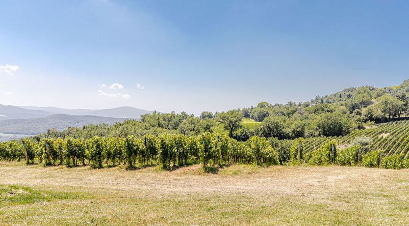 Photo of Refined Tuscany