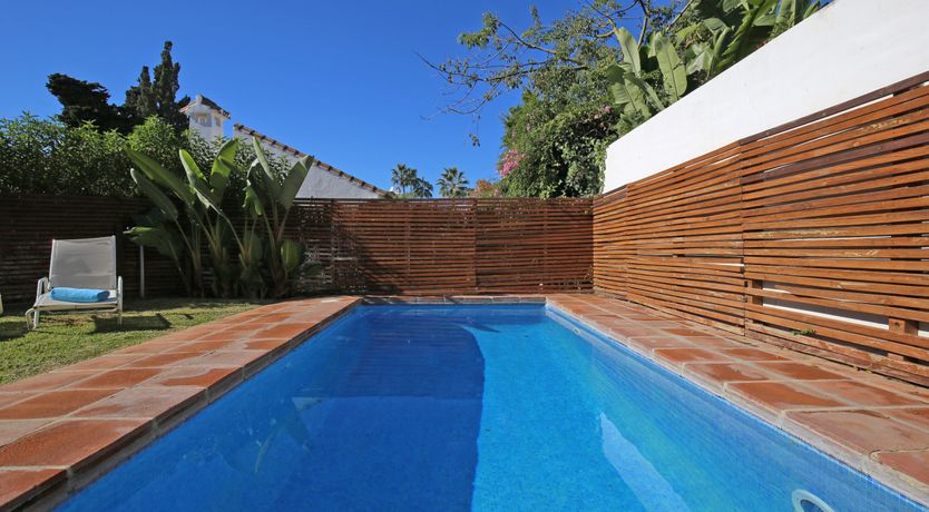 Photo of Golden Smile