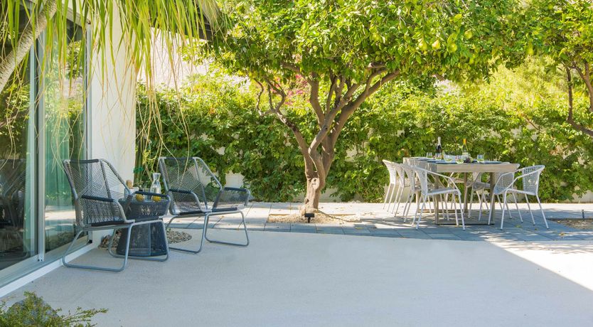 Photo of Cobalt Dreams