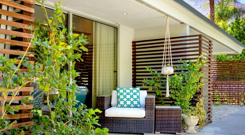 Photo of Tangerine Shine