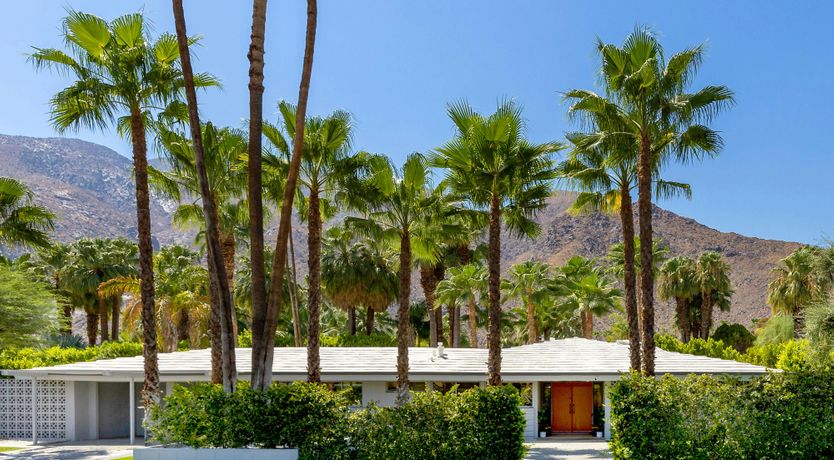 Photo of Tangerine Shine