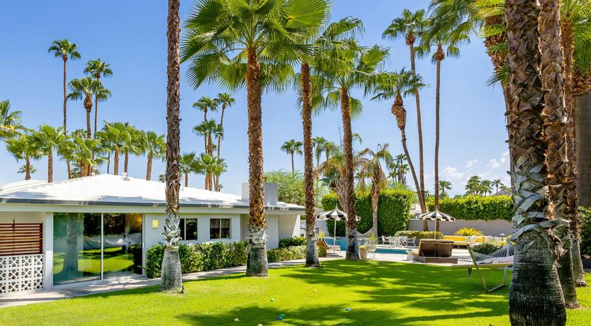 Photo of Tangerine Shine