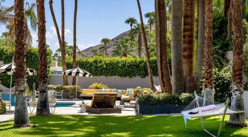 Photo of Tangerine Shine