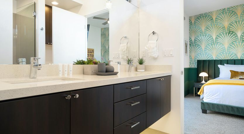 Photo of Springs For A Day