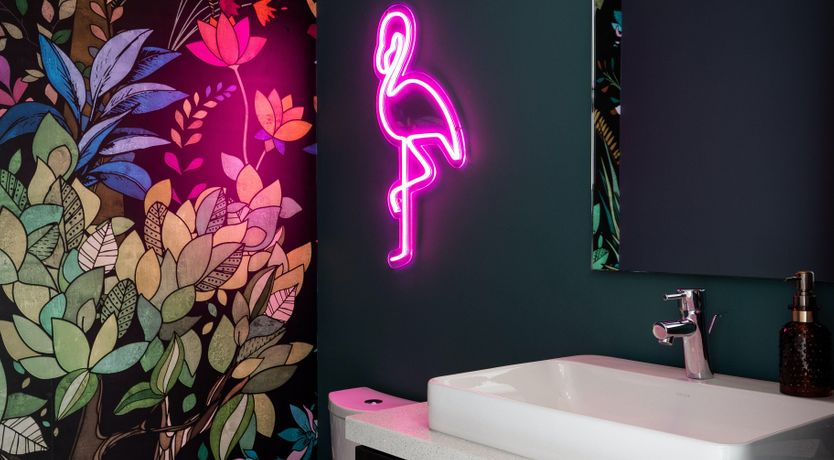 Photo of Springs For A Day