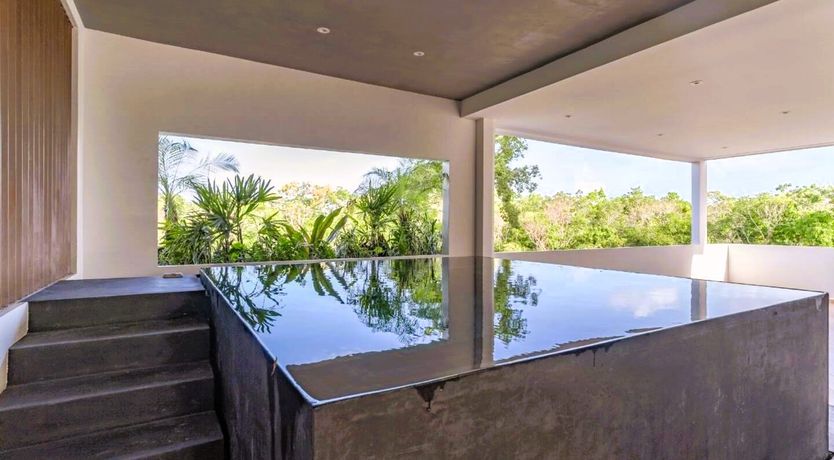 Photo of The Jungle Light