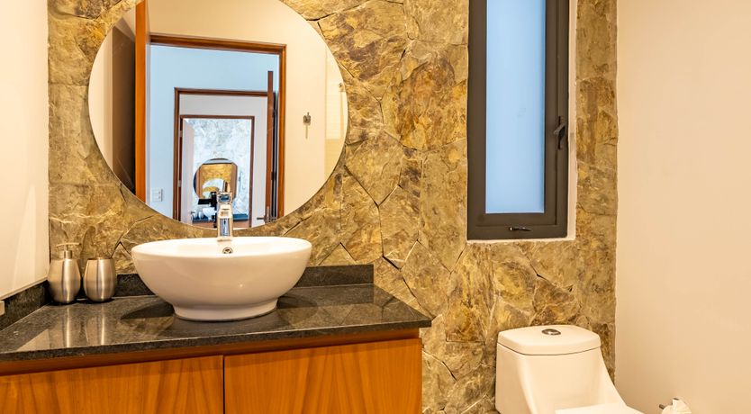 Photo of The Jungle Light