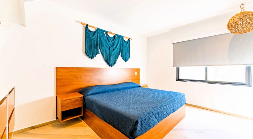 Photo of The Jungle Light