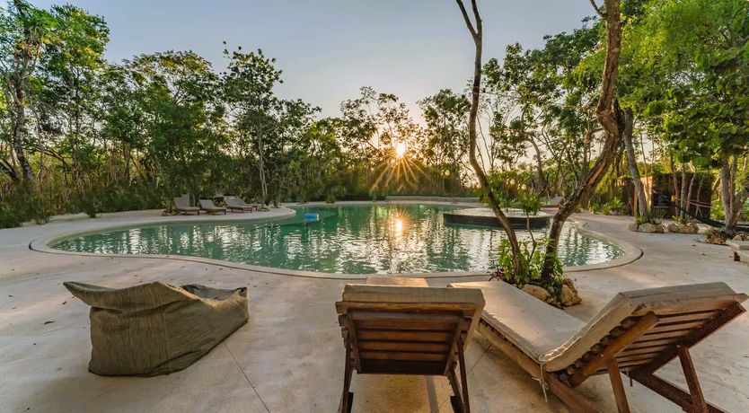 Photo of The Jungle Light