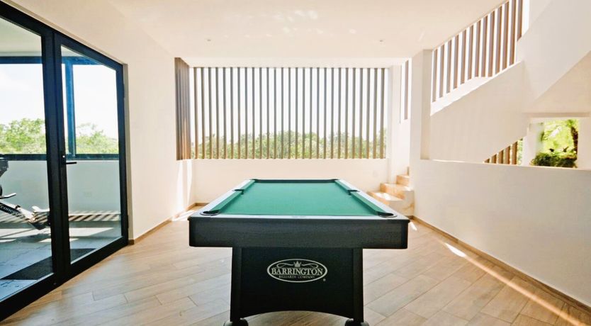 Photo of The Jungle Light