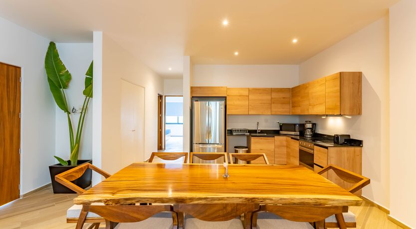 Photo of The Jungle Light