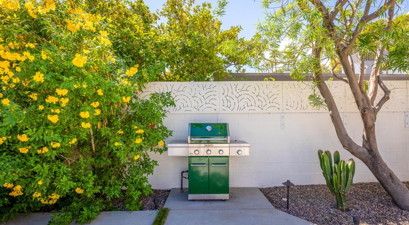 Photo of Tropical Whisper