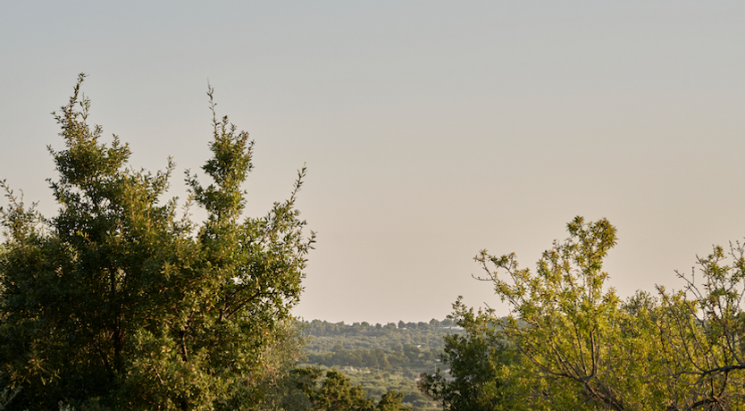 Photo of Ivory Vista