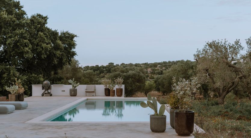 Photo of Ivory Vista