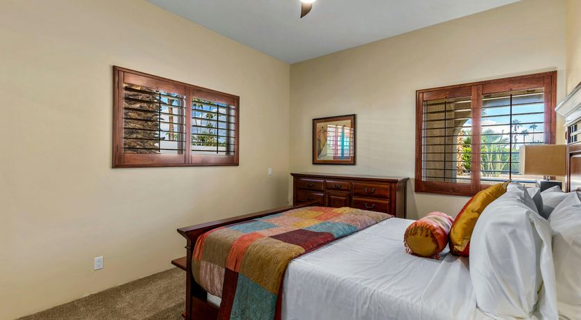 Photo of California Palms