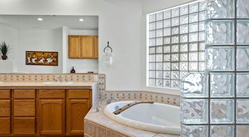 Photo of California Palms