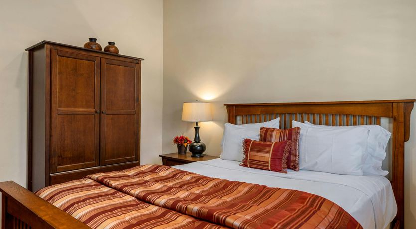 Photo of California Palms