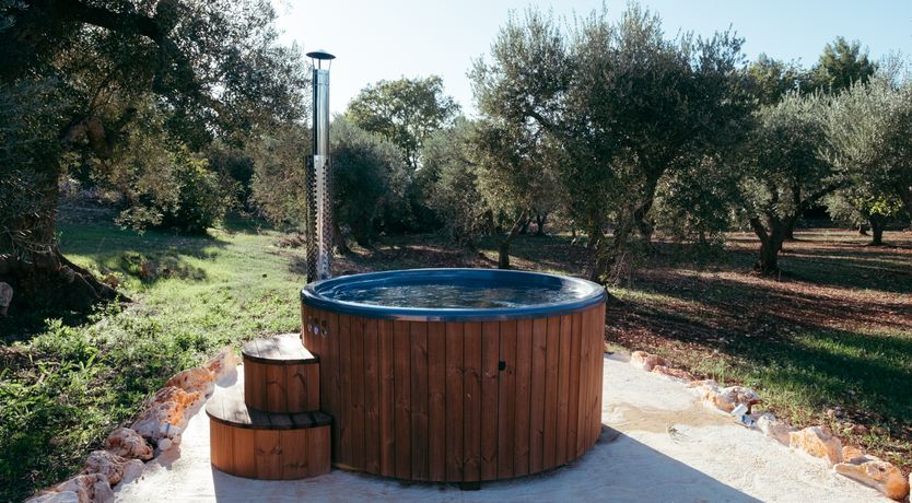 Photo of Southern Grace